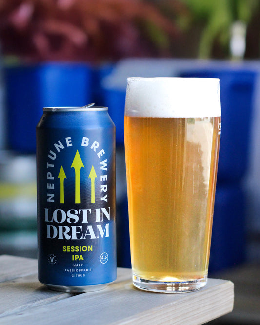 Lost in a Dream