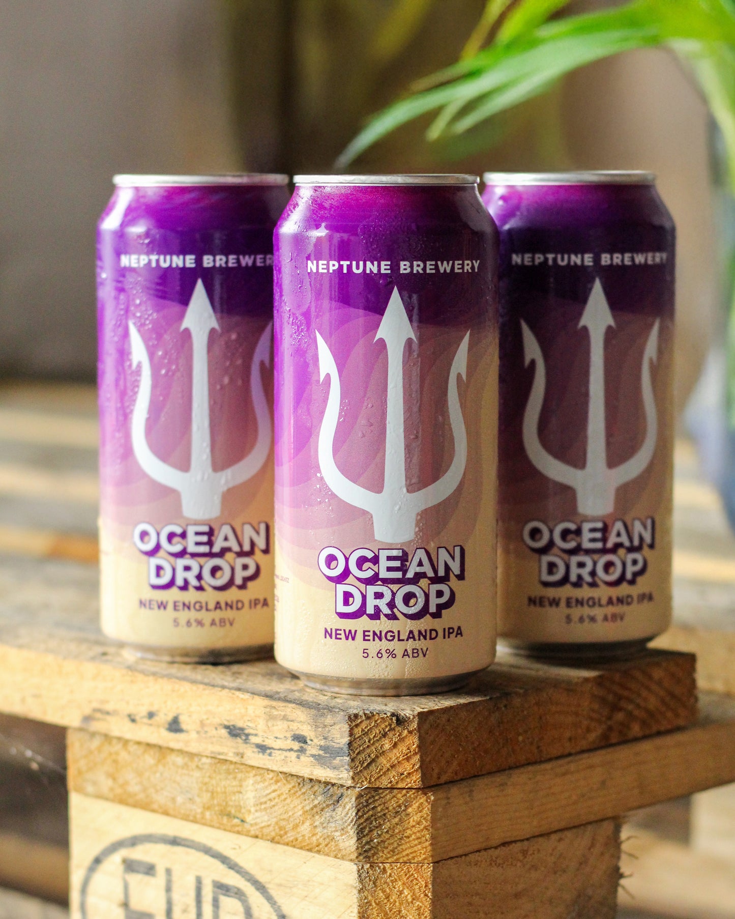 Ocean Drop